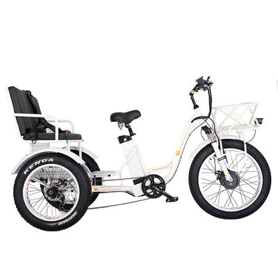 750W フロントホイール 電動リクシャ トライカー 21AH リチウム バッテリー 7 スピードギア