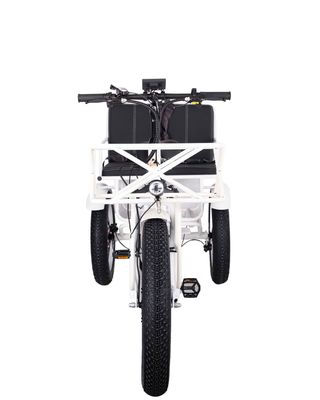 750W フロントホイール 電動リクシャ トライカー 21AH リチウム バッテリー 7 スピードギア