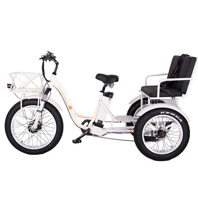 750W フロントホイール 電動リクシャ トライカー 21AH リチウム バッテリー 7 スピードギア