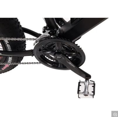 アルミフォーク素材 脂肪タイヤ スーパー電動自転車 自転車73 2021年 道路用
