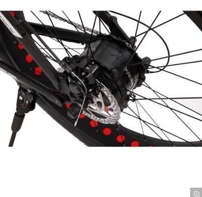 アルミフォーク素材 脂肪タイヤ スーパー電動自転車 自転車73 2021年 道路用