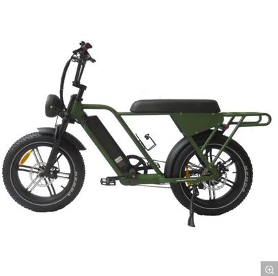 48V250W-500W-750W-1000W モーター ステップスルー 電動自転車 アルミ合金フレーム