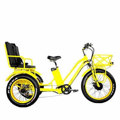 24インチ電動Etrike三輪車 750Wモーターと21AHリチウムバッテリー 40KM/H 最大速度