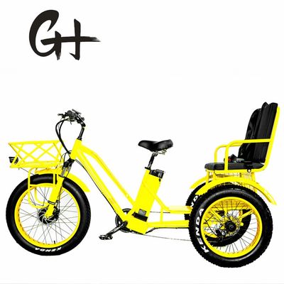 24インチ電動Etrike三輪車 750Wモーターと21AHリチウムバッテリー 40KM/H 最大速度