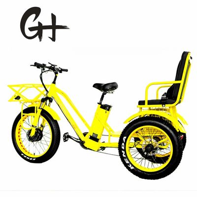 24インチ電動Etrike三輪車 750Wモーターと21AHリチウムバッテリー 40KM/H 最大速度