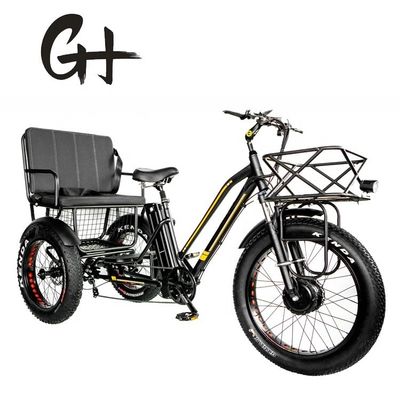 24&quot; 48V フロントホイール 750W 45KM/H マックスロード 300KG 21AH リチウム電池 電動三輪車