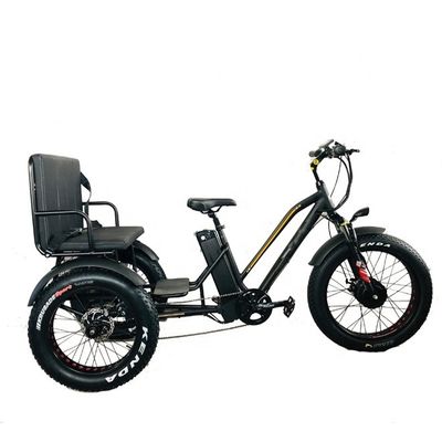 24&quot; 48V フロントホイール 750W 45KM/H マックスロード 300KG 21AH リチウム電池 電動三輪車