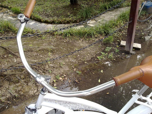 カスタムロゴ 成人 26 インチ シングルスピードハイブリッド自転車 女性 ビーチクルーザー自転車