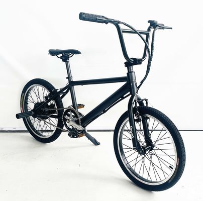 スチールフレーム 20インチ 内電池 24V 250W 10AH リチウム電池 電動BMX ヨーロッパ向け