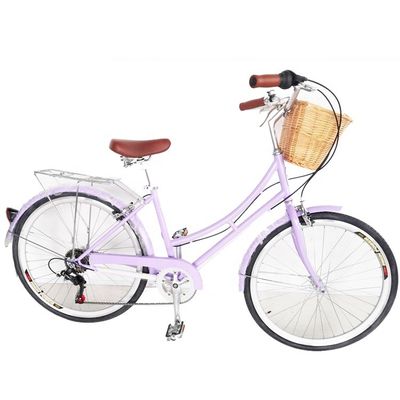1.8m 長さ 鉄筋 700C 女性 シングルスピード シティバイク アメリカ市場 OEM/ODM