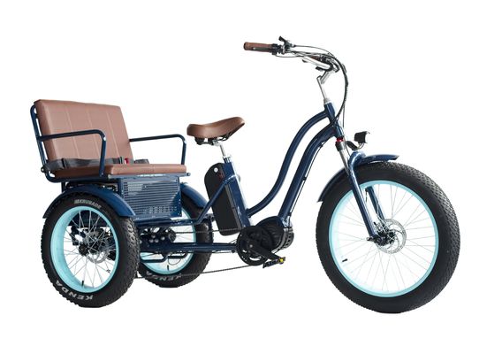 フロントハブモーター 電動リクシャ 48V 750W 17AH リチウム電池とビッグファットタイヤ