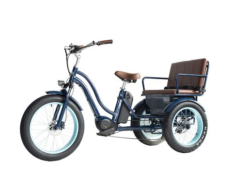 フロントハブモーター 電動リクシャ 48V 750W 17AH リチウム電池とビッグファットタイヤ