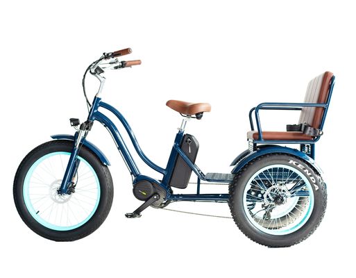 フロントハブモーター 電動リクシャ 48V 750W 17AH リチウム電池とビッグファットタイヤ
