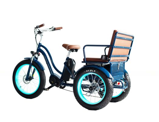 フロントハブモーター 電動リクシャ 48V 750W 17AH リチウム電池とビッグファットタイヤ