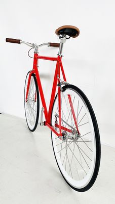アメリカOEMスポーツ固定自転車 密閉軸承ハブとカラフルなハイテン鋼枠