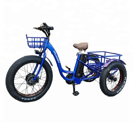 リチウム電池付きの750W電動貨物三輪車 31-60kmの走行距離