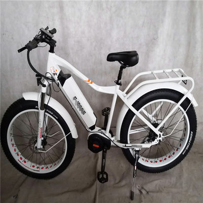 1000W バファングミッドドライブモーター合金 後部キャリア 標準付き中央電気自転車