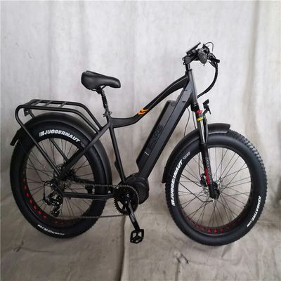 1000W バファングミッドドライブモーター合金 後部キャリア 標準付き中央電気自転車