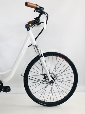 500W/48V/14Ah 後部ラック リチウム電池 女性用電気都市自転車 レディース 35KM/H