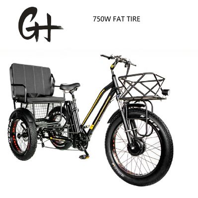 バファング 750W モーター電動三輪車 脂肪タイヤ E 三輪車と乗用席