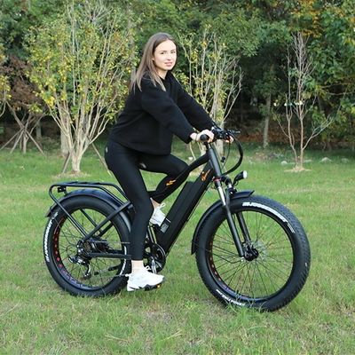 48V 1000W 17AH リチウム電池 OEM EN15194 CE オーダーメイド電気MTB マウンテンファットタイヤ自転車