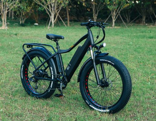 48V 1000W 17AH リチウム電池 OEM EN15194 CE オーダーメイド電気MTB マウンテンファットタイヤ自転車