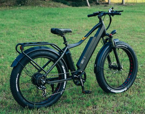 48V 1000W 17AH リチウム電池 OEM EN15194 CE オーダーメイド電気MTB マウンテンファットタイヤ自転車