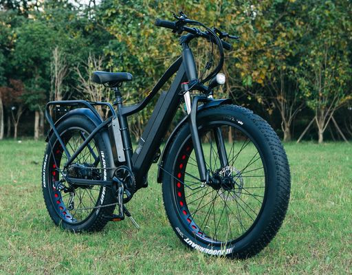 48V 1000W 17AH リチウム電池 OEM EN15194 CE オーダーメイド電気MTB マウンテンファットタイヤ自転車