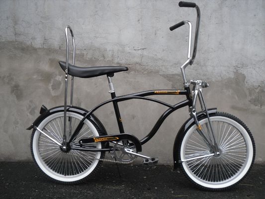 スチールフレーム 20インチ ビーチクルーザー CE シングルスピードコースター ブレーキローライダー 自転車 15KG