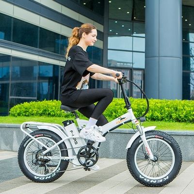 48V 1000W 13AH リチウム電池 大型4.0 FAT スノータイヤ 電気折りたたみ自転車 アメリカ市場
