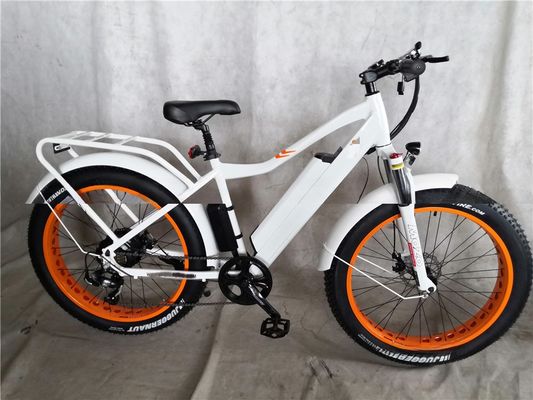 ディスクブレーキ 750W 48V リチウムバッテリー 成人Eバイク 脂肪タイヤ 電動自転車 26インチ 最大速度30-50Km/h