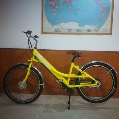 35V 350W 8.8AH リチウム電池 26" ファストフード 宅配 貨物 電気自転車 成人女性 25KM/H CE ヨーロッパ市場