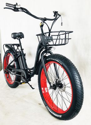 26" 750W 48V 20MPH OEM 21AH UL2849 大人 女性 レディ ビーチ クルーザー 電動 大きい4.0 FAT スノータイヤ 自転車