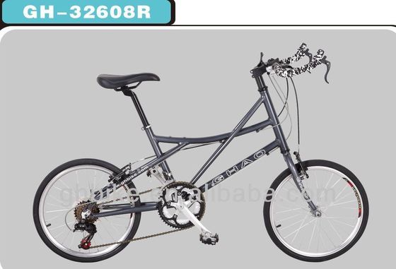 14 スピード 20 インチ ミニロードバイク 双壁アルミニウムリムと折りたたみ可能な自転車