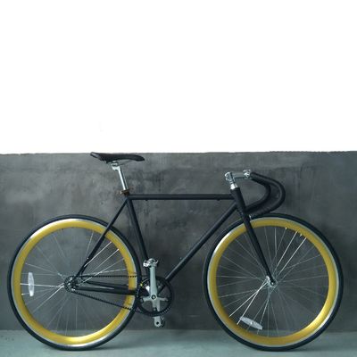 13kg 総重量帯駆動固定ギア自転車 ハイテンの鋼筋フレームとスタイルデザイン