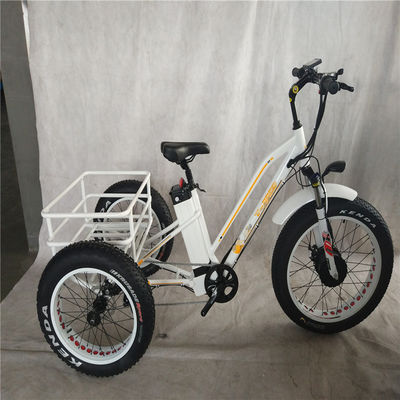 750W 電動自転車 3輪 大人の脂肪タイヤ E トライク 貨物 トーク 70-80 Nm ディスクブレーキ
