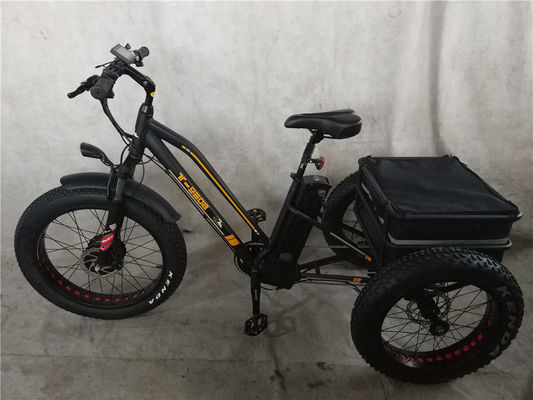 750W 電動自転車 3輪 大人の脂肪タイヤ E トライク 貨物 トーク 70-80 Nm ディスクブレーキ
