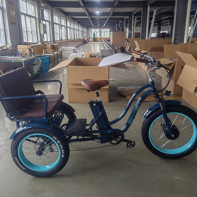 750W 電動自転車 3輪 大人の脂肪タイヤ E トライク 貨物 トーク 70-80 Nm ディスクブレーキ