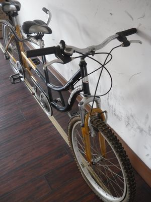 24インチ シマノ 7速 OEM CE スチール タンドム 2人用 自転車 フォーク懸垂