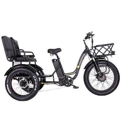 軽量 アルミフレーム 電動三輪車 48V 750W 21AH 50KM/H 成人の乗客用