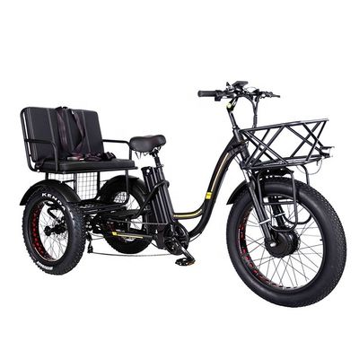 軽量 アルミフレーム 電動三輪車 48V 750W 21AH 50KM/H 成人の乗客用