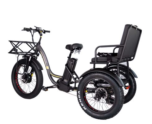 軽量 アルミフレーム 電動三輪車 48V 750W 21AH 50KM/H 成人の乗客用
