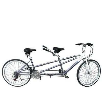 26インチ 18 スピードマウンテン小売 20%オフ CE OEM EN14764 ダブルパーソン タンドム自転車