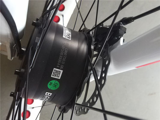 750W フロントモーター 24 4.0 脂肪タイヤ 雪 48V E トライク 三輪貨物 電動三輪車