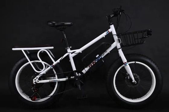 20" 500W 48V13AH OEM/ODM EN15194 ディスクブレーキ 電気自転車 小児の屋外楽しみ