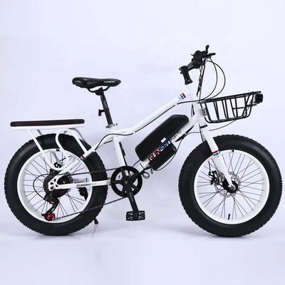 20" 500W 48V13AH OEM/ODM EN15194 ディスクブレーキ 電気自転車 小児の屋外楽しみ