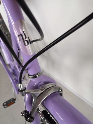 KMCチェーン 26インチ ヨーロッパ OEM CE シマノ 7スピード 女性 レディ シティ自転車 1.8m 長さ