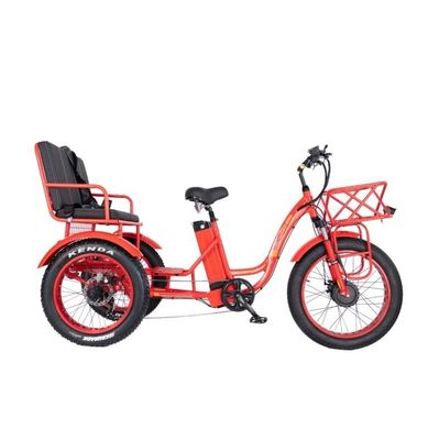 48V E トライカー 3輪 750ワット 脂肪タイヤ リックスhaw バファング 750W モーターとパフォーマンス