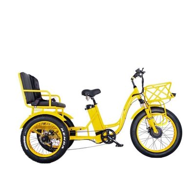 48V E トライカー 3輪 750ワット 脂肪タイヤ リックスhaw バファング 750W モーターとパフォーマンス