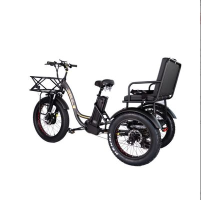 48V E トライカー 3輪 750ワット 脂肪タイヤ リックスhaw バファング 750W モーターとパフォーマンス